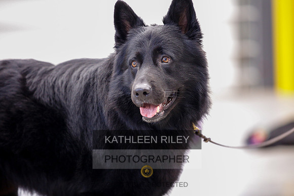 2022-KathleenRileyPhotography-7072