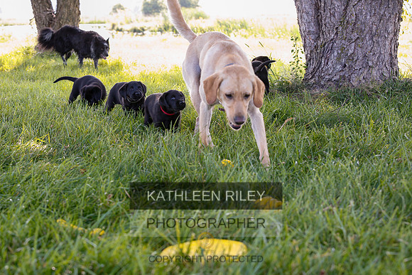 2022-KathleenRileyPhotography-7878