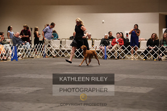 WGMC2033