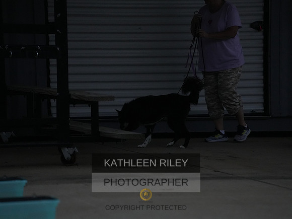 2022-KathleenRileyPhotography059