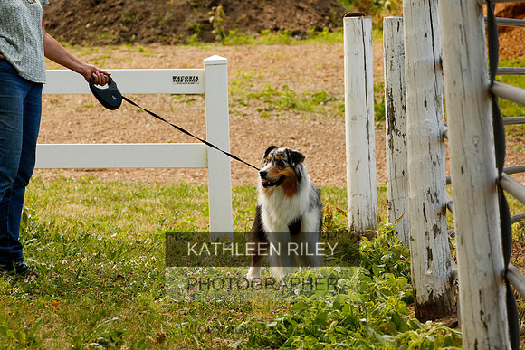 2022-KathleenRileyPhotography-0016