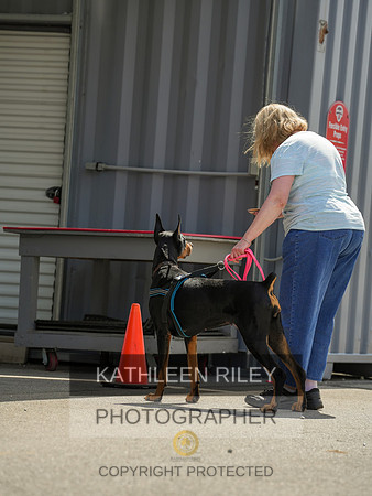 2022-KathleenRileyPhotography-04337