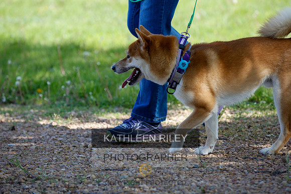 2022-KathleenRileyPhotography-3888