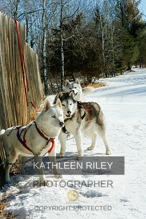 2022-KathleenRileyPhotography-7029