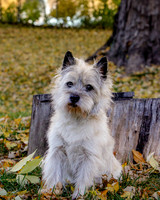_S2_5707-20211029-RILEY