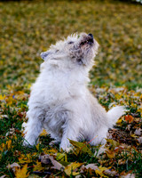 _S2_5685-20211029-RILEY