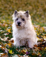 _S2_5698-20211029-RILEY