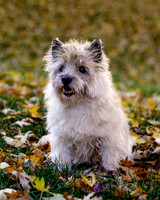 _S2_5700-20211029-RILEY