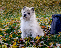 _S2_5686-20211029-RILEY