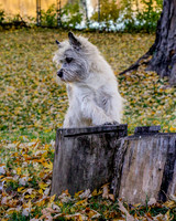 _S2_5753-20211029-RILEY