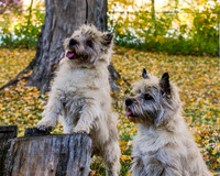_S2_5866-20211029-RILEY