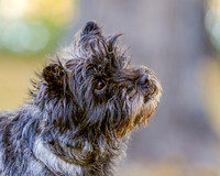 _S2_5924-20211029-RILEY