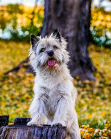 _S2_5833-20211029-RILEY
