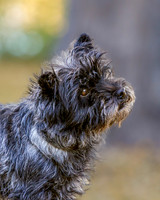 _S2_5925-20211029-RILEY