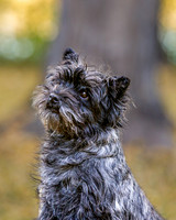_S2_5982-20211029-RILEY
