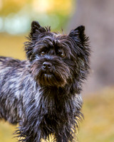_S2_6028-20211029-RILEY