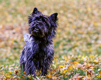 _S2_6111-20211029-RILEY
