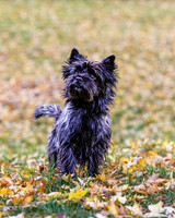 _S2_6101-20211029-RILEY