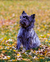 _S2_6149-20211029-RILEY