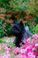 2021-KathleenRileyPhotography-4309