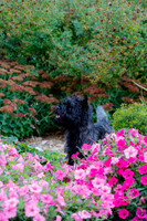 2021-KathleenRileyPhotography-4284