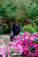 2021-KathleenRileyPhotography-4293