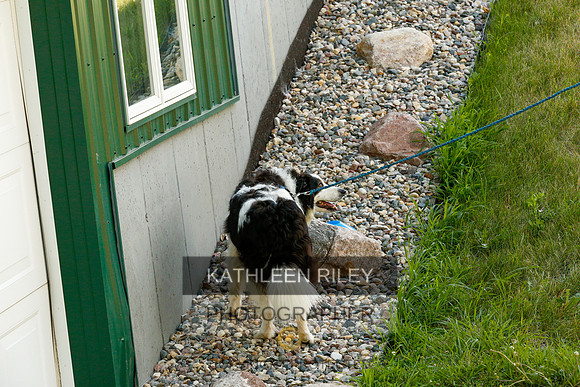 2022-KathleenRileyPhotography-0279