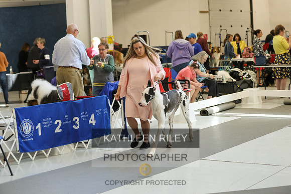 20230520-SJLT8703