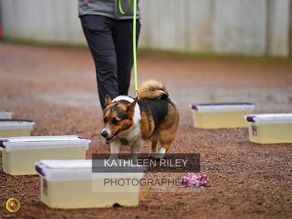 RileyPhoto-TSK08645-05142023