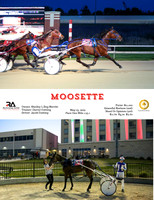 2023 RA MOOSETTE R06 May 25 2023  8.5x11 (1)