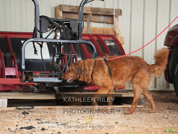 TSK06991