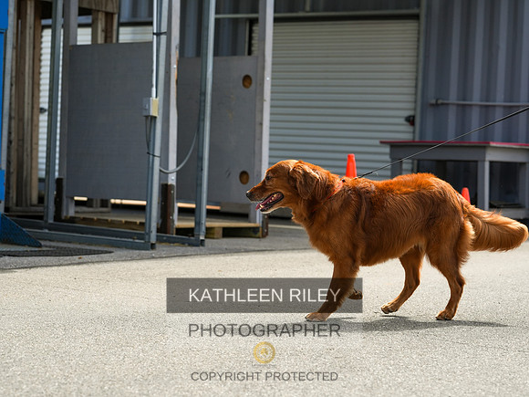 2022-KathleenRileyPhotography-04392