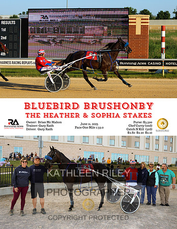 2023 RA R02 Bluebird Brushonby PACE June 11 2023   8.5x11