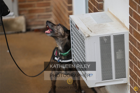 20230514-RileyPhoto-SJLT6833 (1)