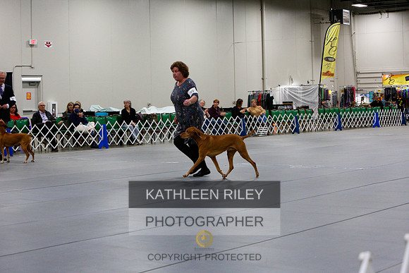 2022-KathleenRileyPhotography-1396