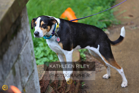 20230514-RileyPhoto-SJLT7127 (1)