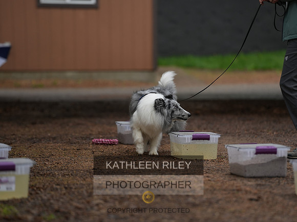 TSK07424