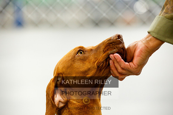 2022-KathleenRileyPhotography-9446