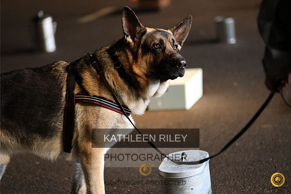 RileyPhoto-SJLT5309-05142023
