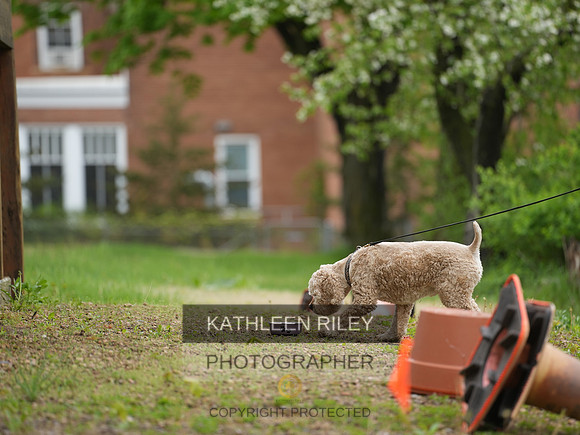 TSK09812