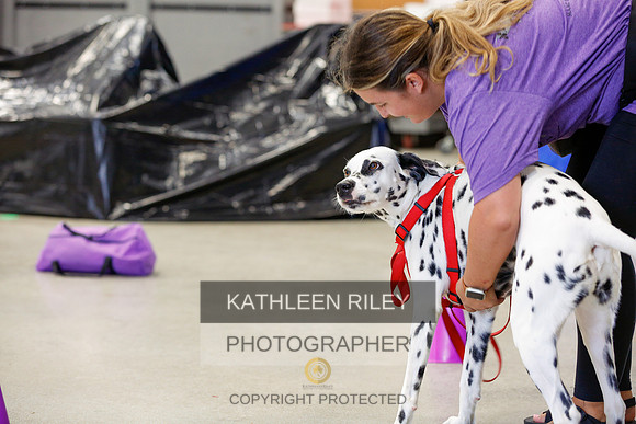 2022-KathleenRileyPhotography-7397