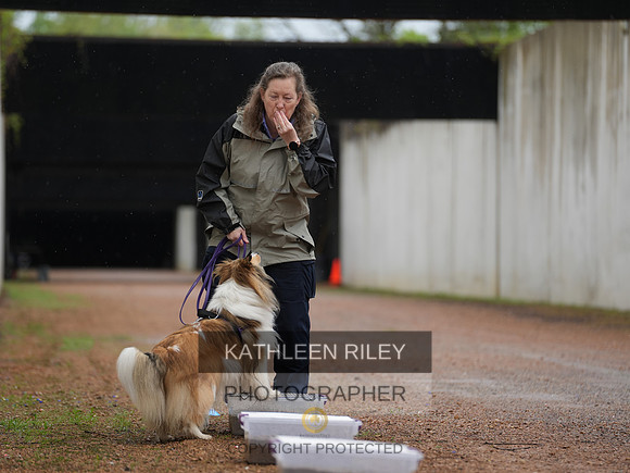 TSK09286