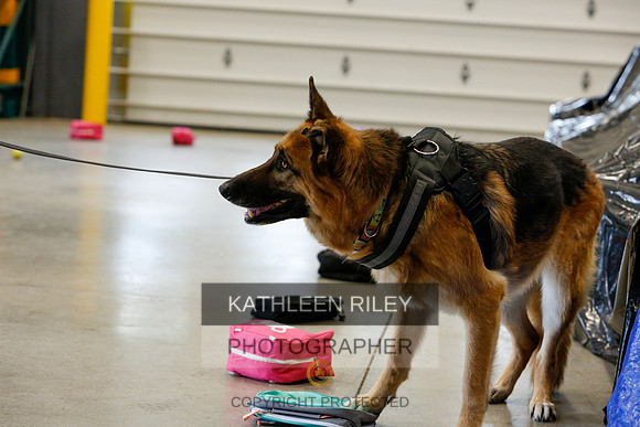 2022-KathleenRileyPhotography-5116