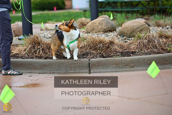 RileyPhoto-SJLT4811-05142023