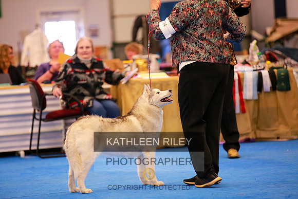 2022-KathleenRileyPhotography-5604