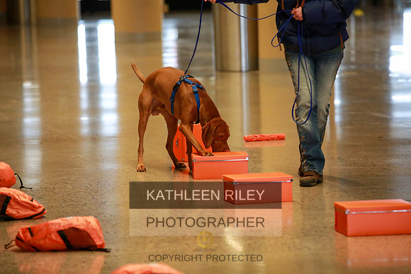 2022-KathleenRileyPhotography-7405