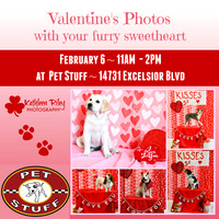 PROOFS Unedited Valentine's Day Pet Photos 6-Feb-16