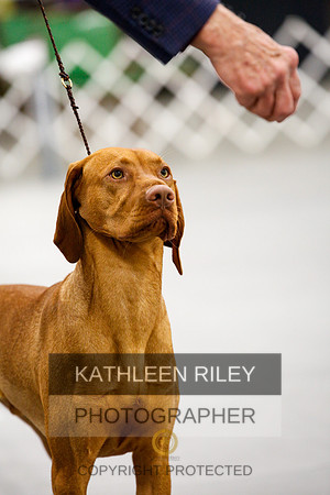 2022-KathleenRileyPhotography-1555