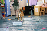 1N5A0812