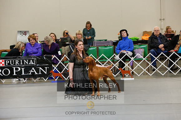 2022-KathleenRileyPhotography-5836